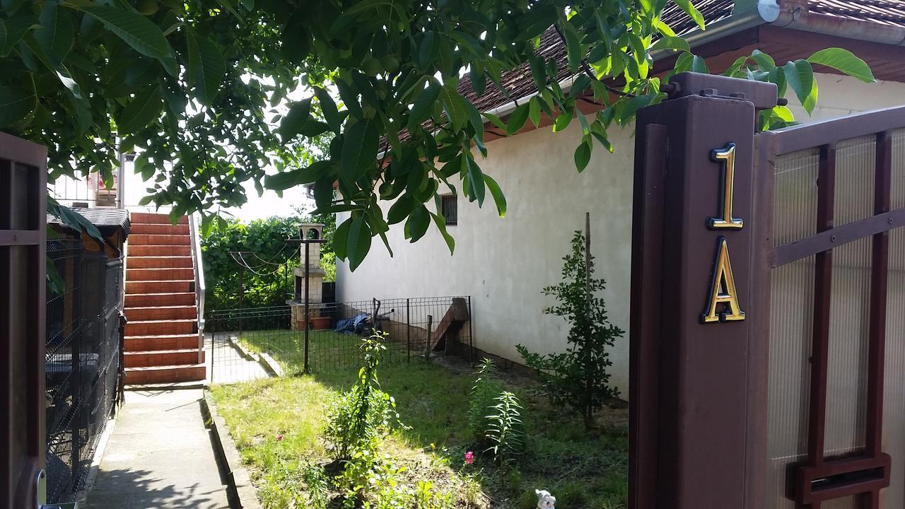 Casa Carla-Maria Apartment Deva Ngoại thất bức ảnh