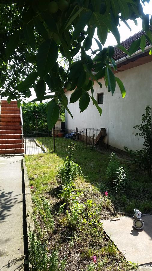Casa Carla-Maria Apartment Deva Ngoại thất bức ảnh